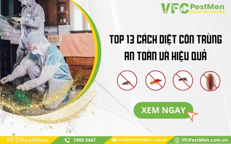 Top 13 cách diệt côn trùng an toàn và hiệu quả