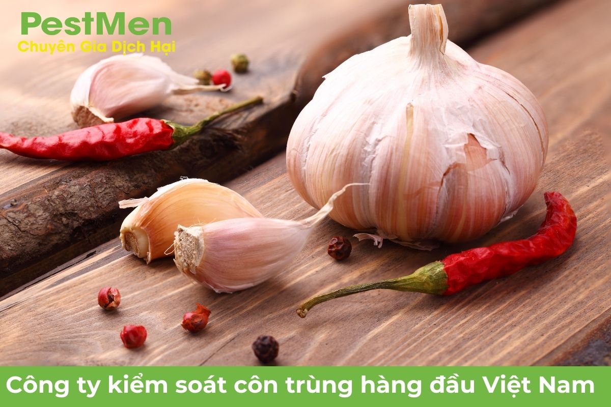 Nguyên liệu tỏi, ớt