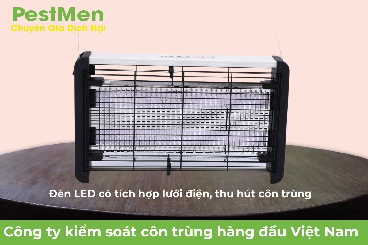 Diệt côn trùng bằng đèn LED