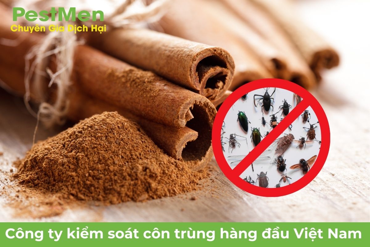 Sử dụng nguyên liệu quế