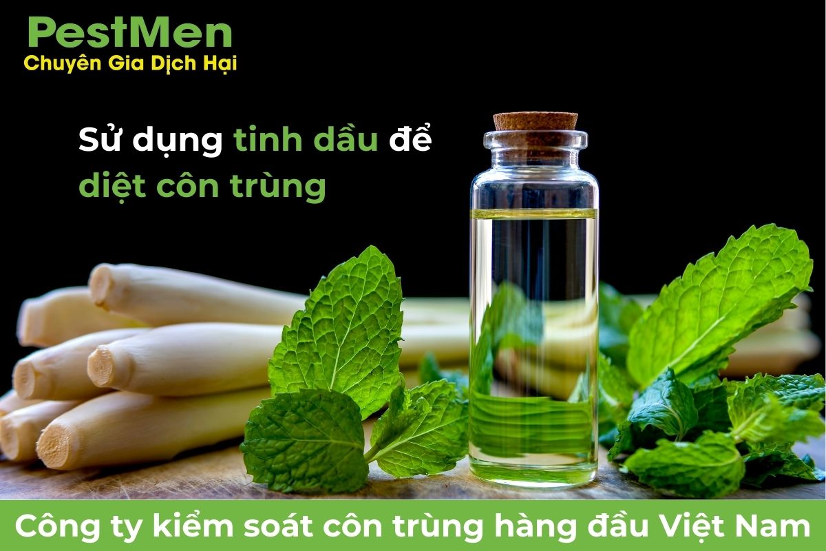Sử dụng tinh dầu