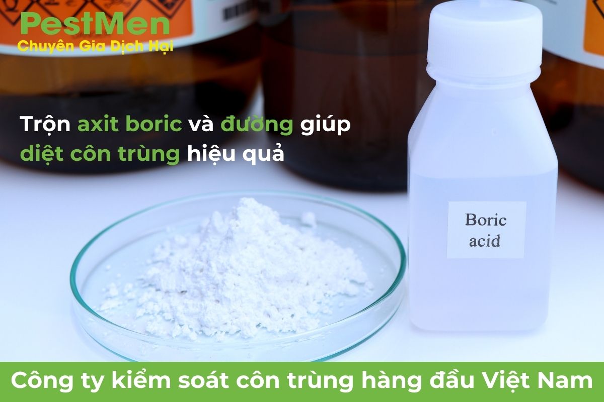 Sử dụng chất acid boric và đường bột