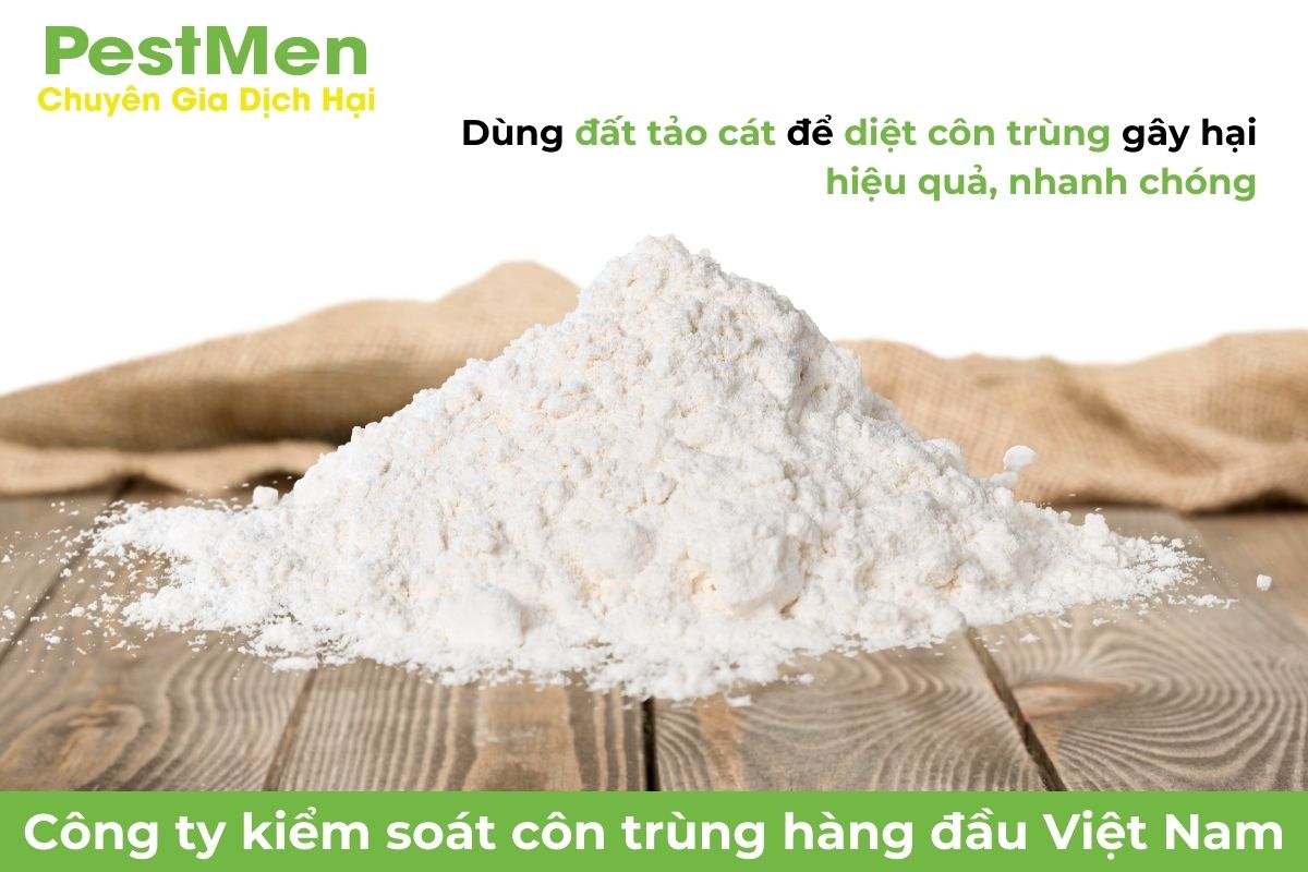 Sử dụng đất tảo cát