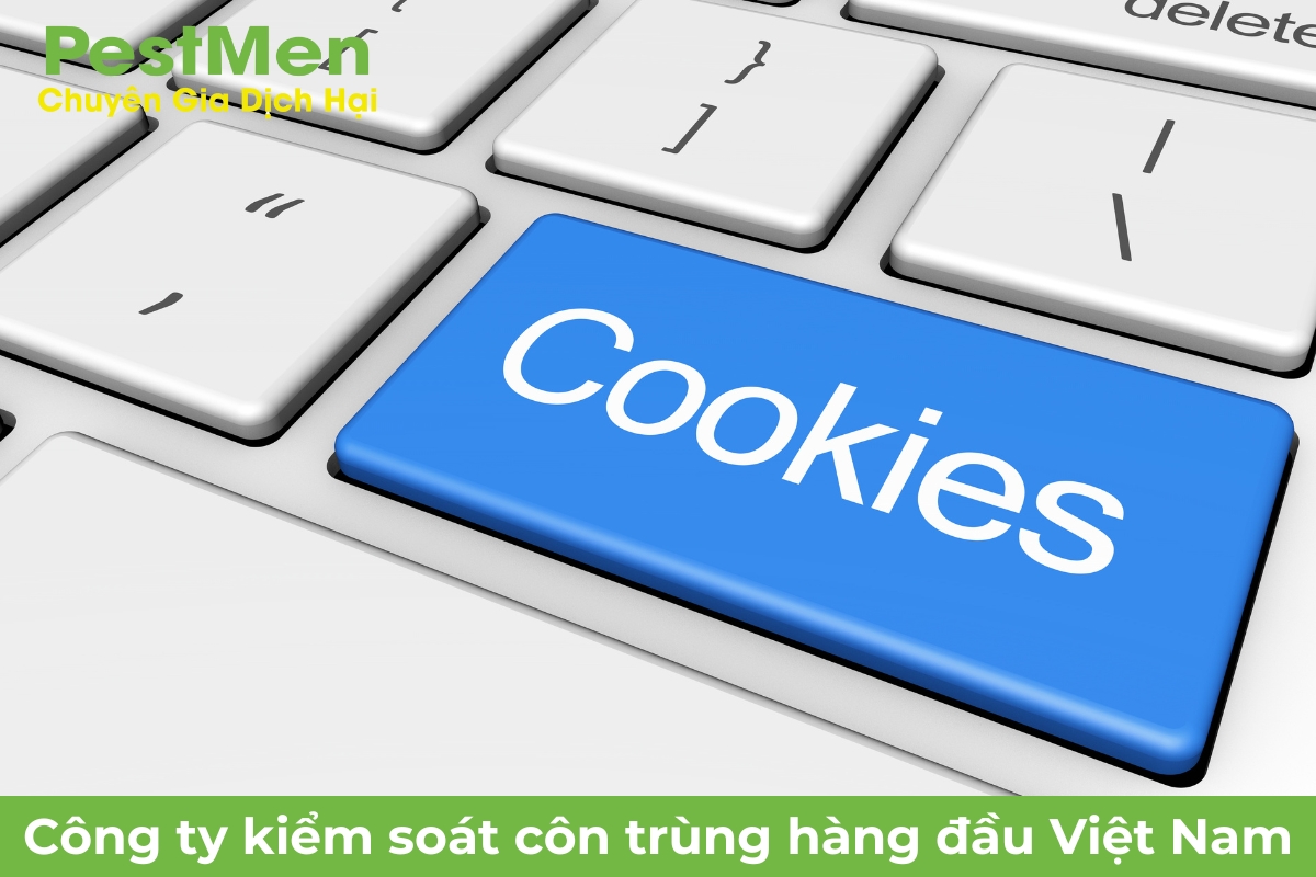 Quản lý Cookie người dùng tại PestMen