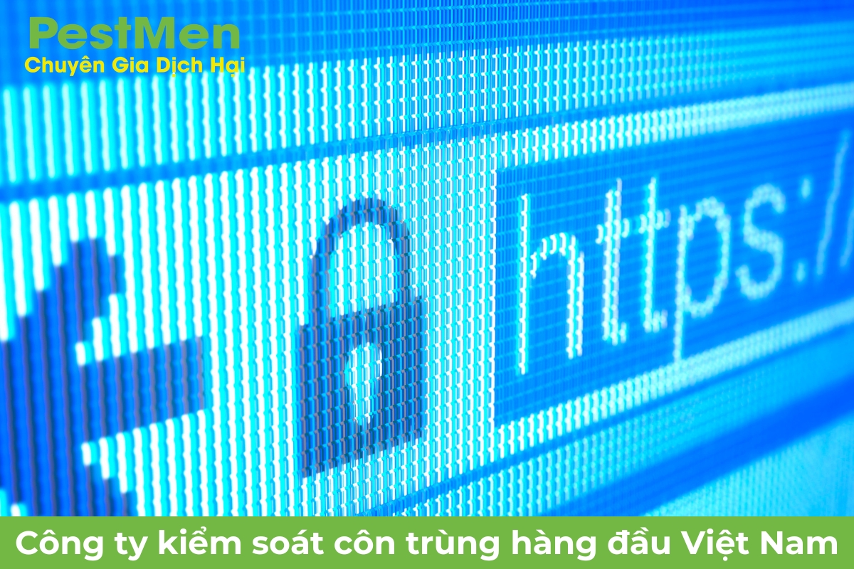 Quyền truy cập trang website và các giấy tờ liên quan khác