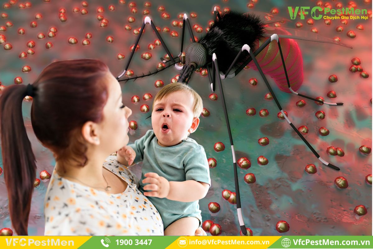 Căn bệnh nguy hiểm Virus Zika 