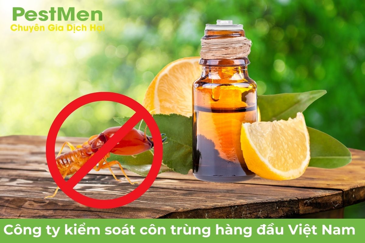 Sử Dụng Tinh Dầu Cam Chanh