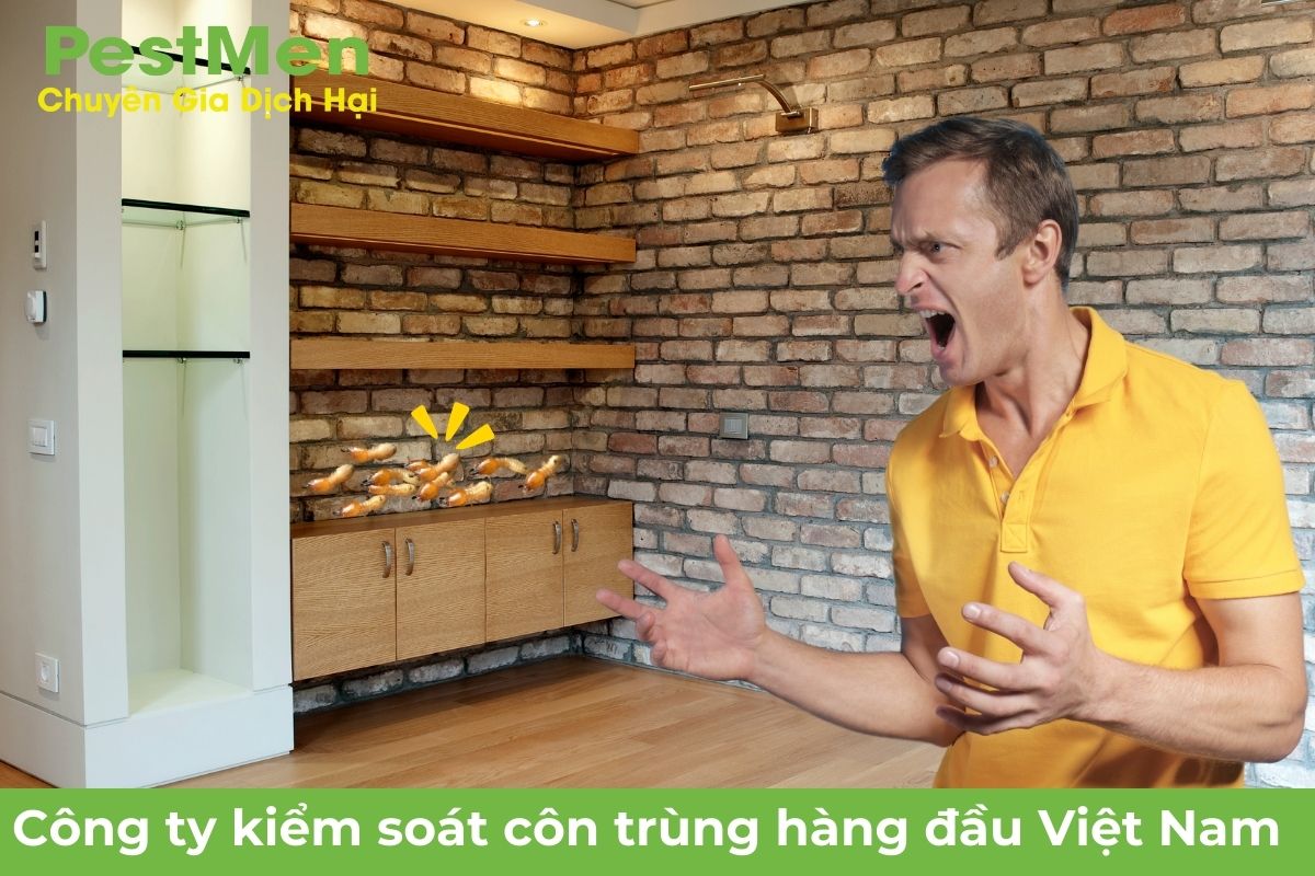 Cách Nhận Biết Mối Đất Xâm Nhập