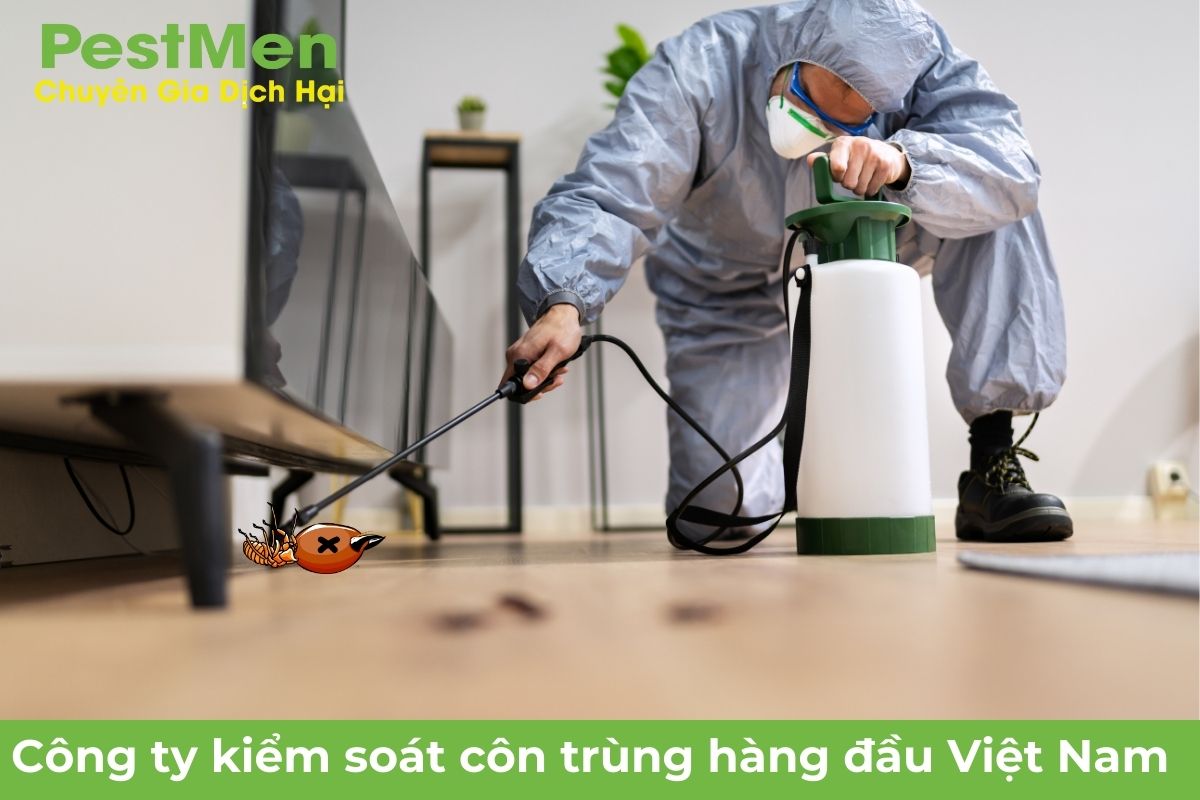 Tham Khảo 8 Cách Phòng Chống Và Kiểm Soát Mối Đất