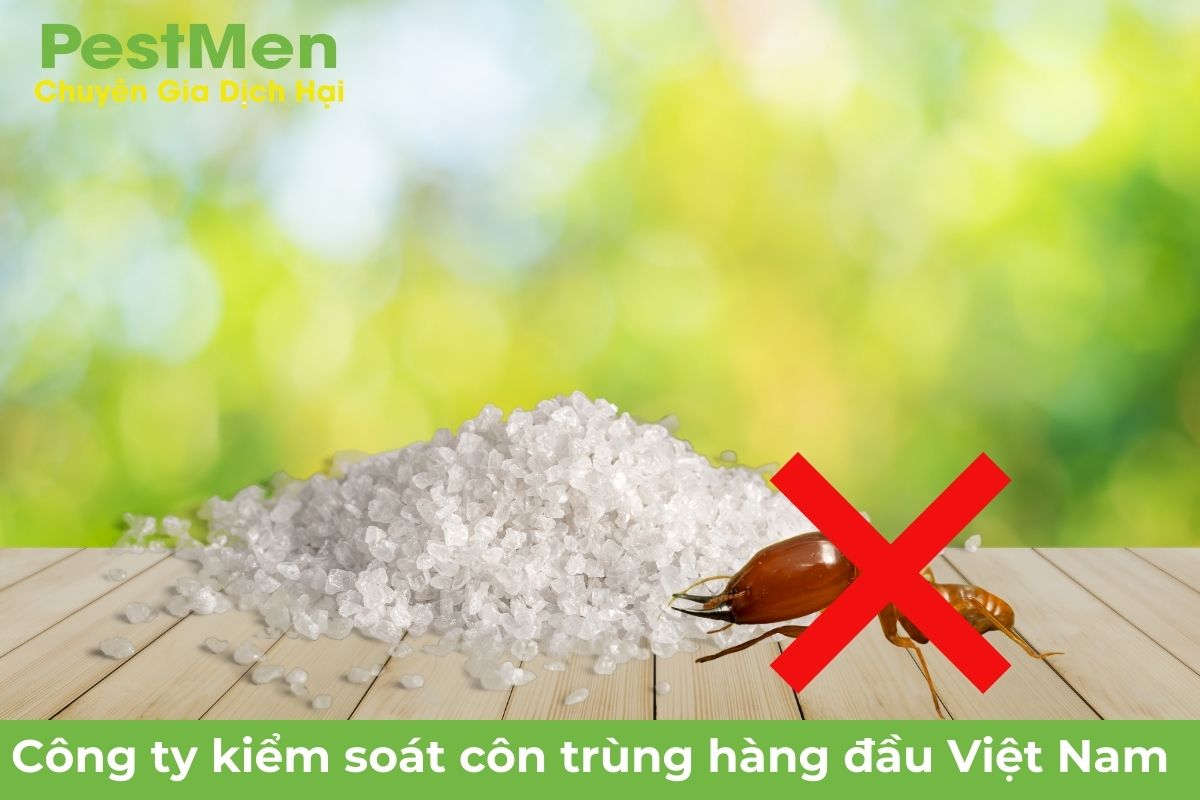 Cách Diệt Mối Đất Bằng Muối