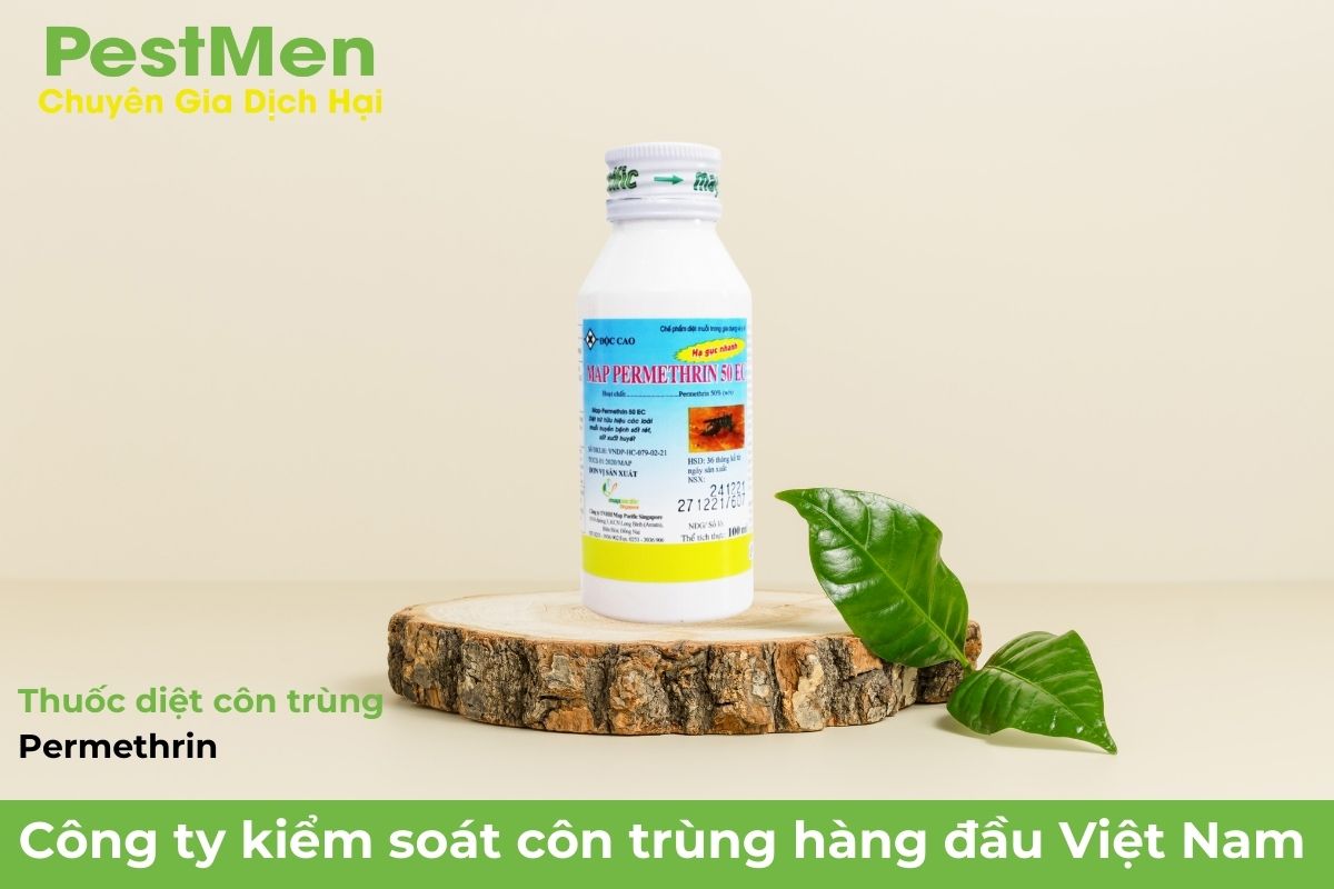 Permethrin - Thuốc Diệt Côn Trùng Triệt Để