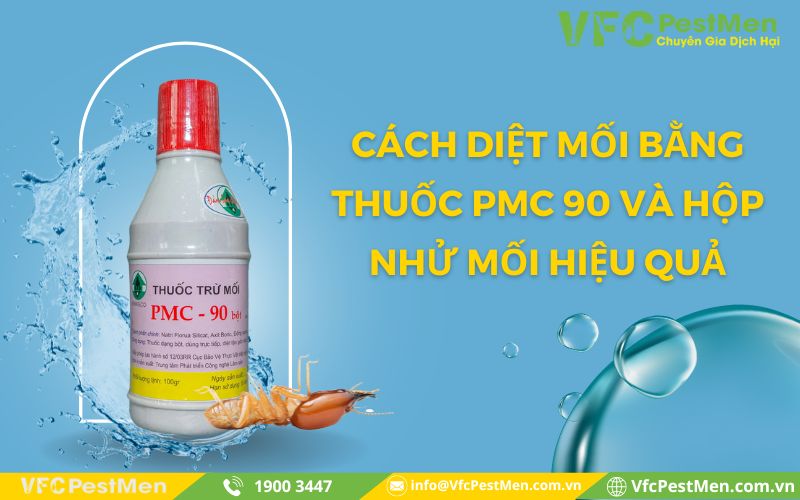 Cách diệt mối bằng thuốc PMC 90 và hộp nhử mối hiệu quả