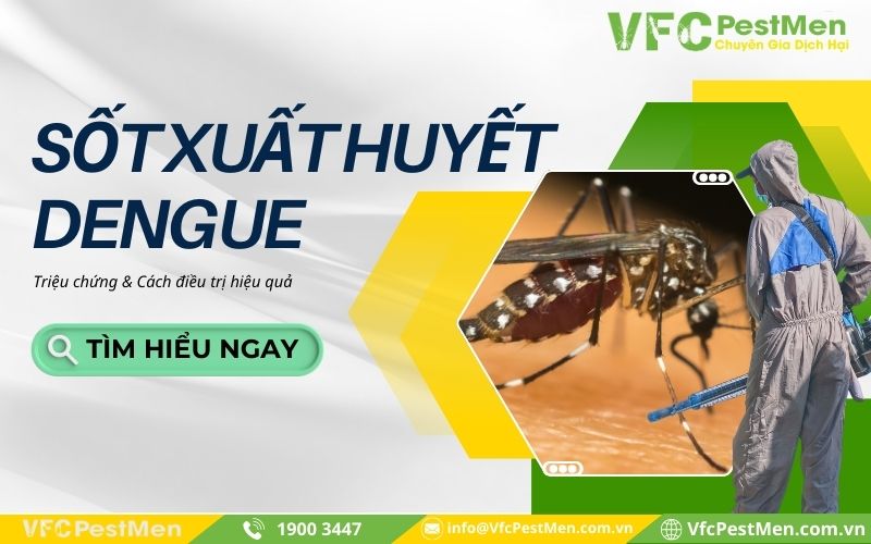 Triệu chứng & Cách điều trị sốt xuất huyết Dengue