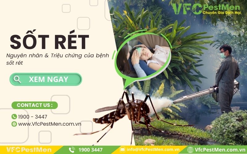 Nguyên nhân & Triệu chứng của bệnh sốt rét