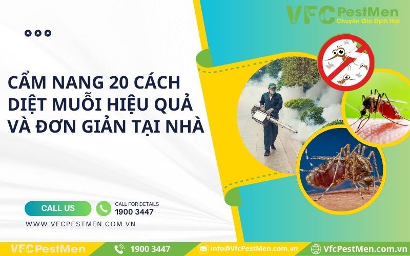 Cẩm nang 20 cách diệt muỗi hiệu quả và đơn giản tại nhà