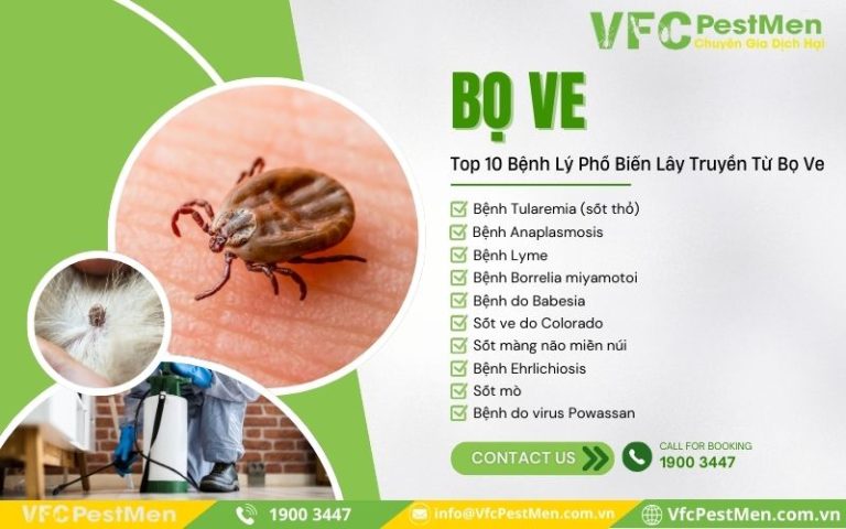 Nguyên Nhân Bọ Ve Đốt - Top 10 Bệnh Lý Phổ Biến Lây Truyền Từ Bọ Ve