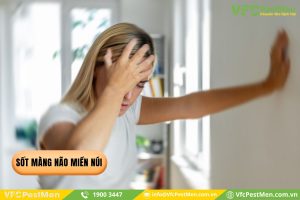 Sốt màng não miền núi