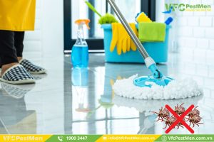 Nên duy trì lối sống lạnh mạnh, sạch sẽ để phòng ngừa bọ ve