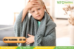 Bệnh Tularemia - sốt thỏ