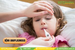 Bệnh Anaplasmosis