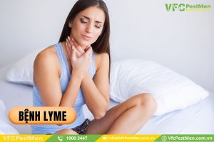 Bệnh Lyme do vi khuẩn Borrelia burgdorferi gây ra