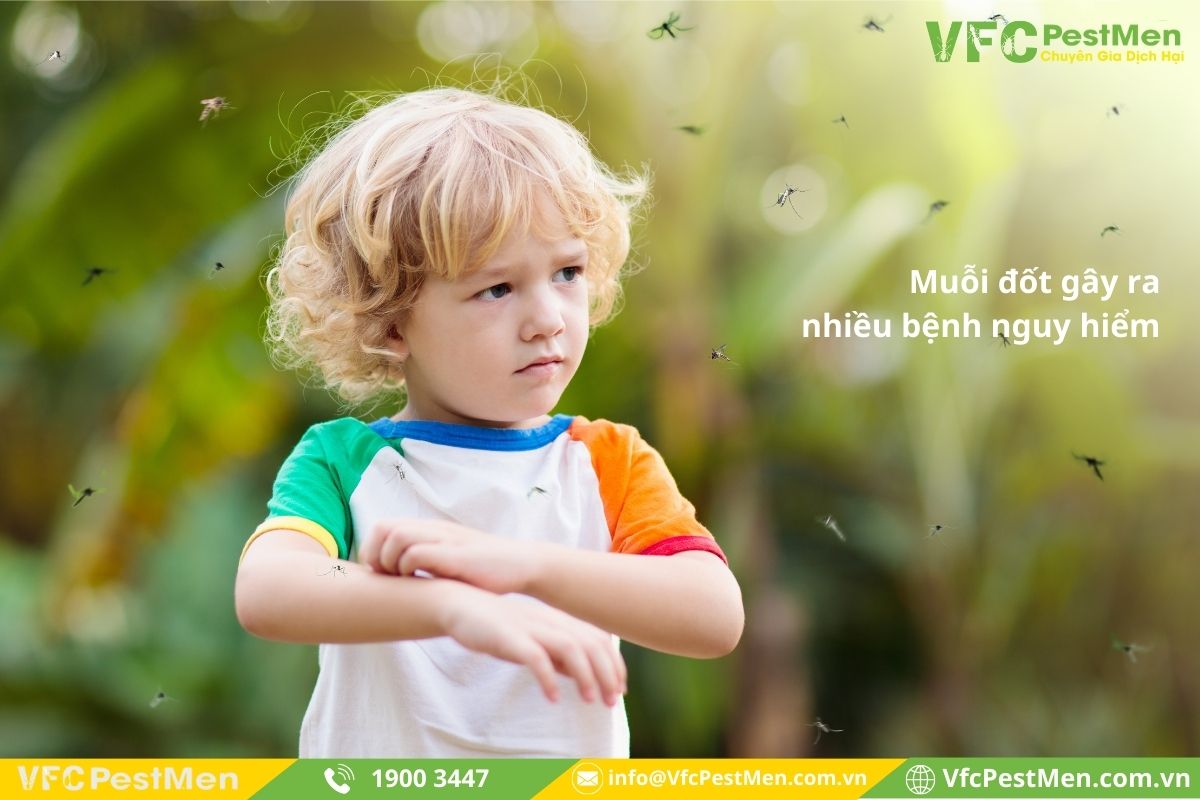 Tại sao nên tiêu diệt muỗi?