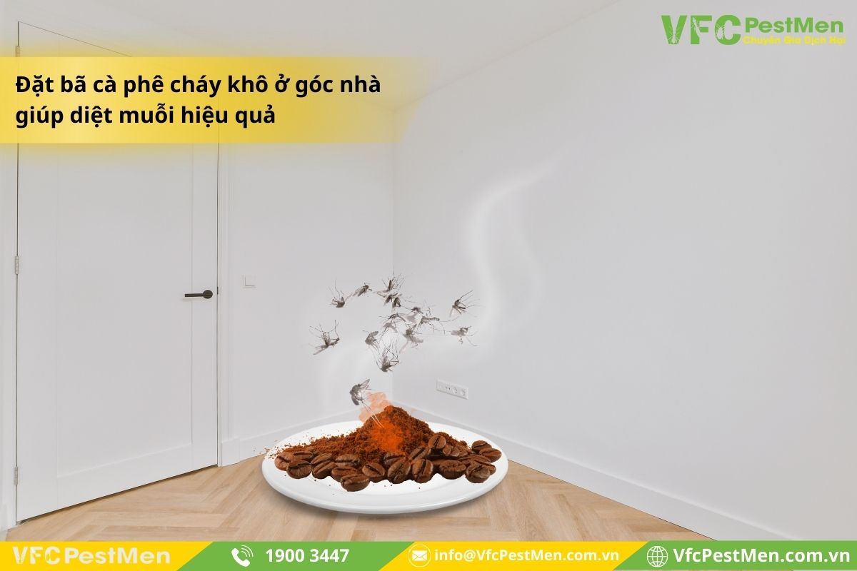 Diệt muỗi bằng xác cà phê