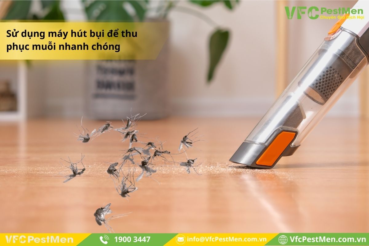 Diệt muỗi đơn giản bằng máy hút bụi
