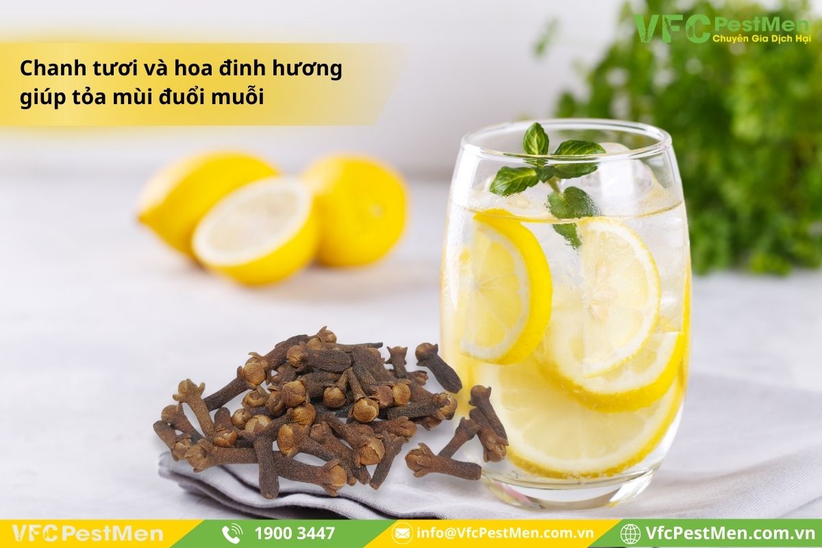 Kết hợp chanh tươi và hoa đinh hương