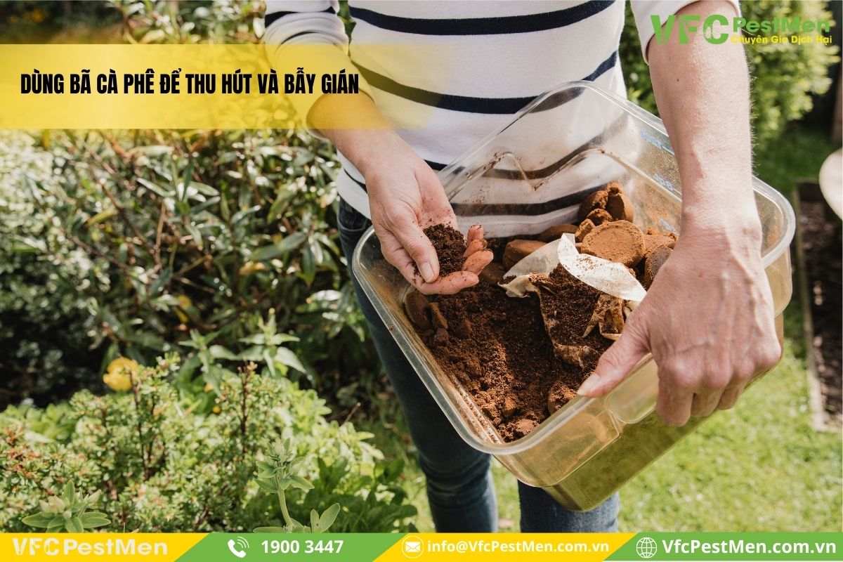 Sử dụng bã cà phê