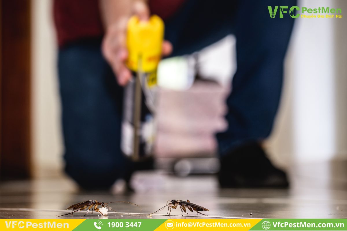 Liên hệ với công ty diệt côn trùng
