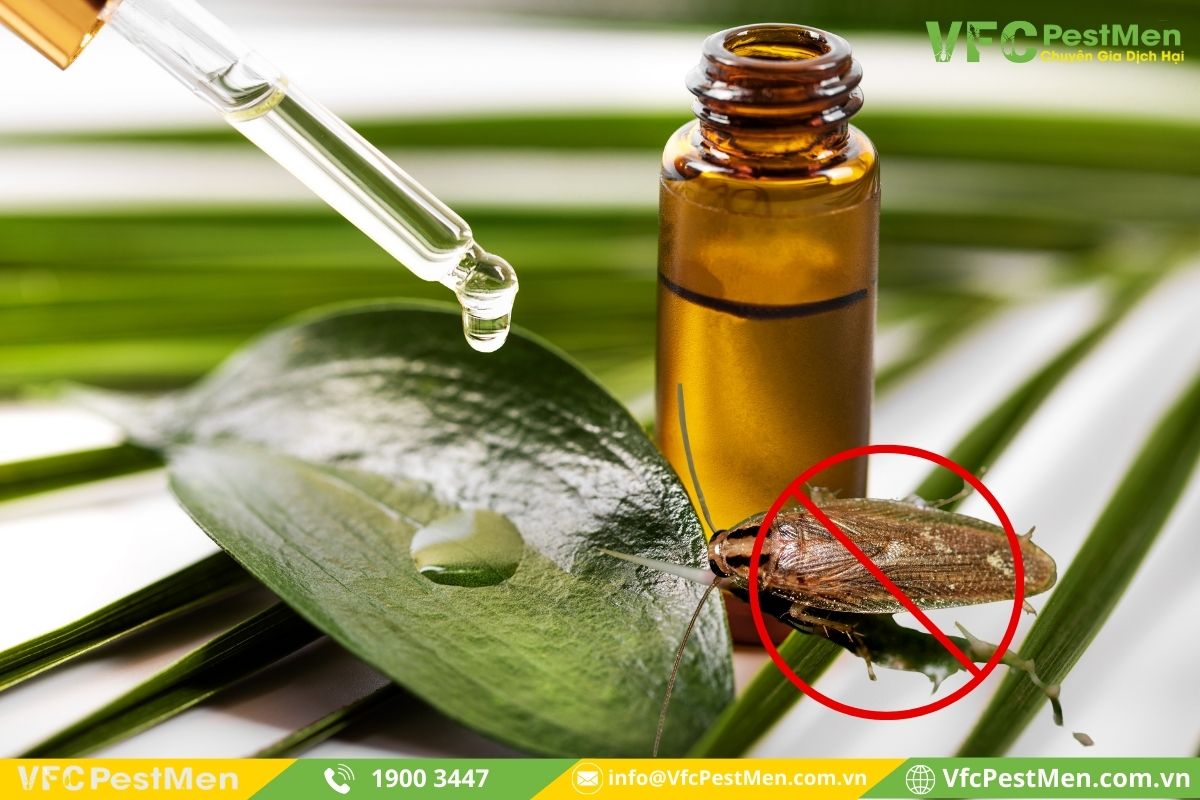 Sử dụng tinh dầu