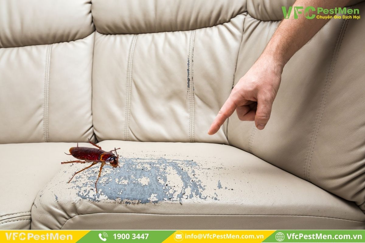 Gây hư hỏng vật dụng trong nhà