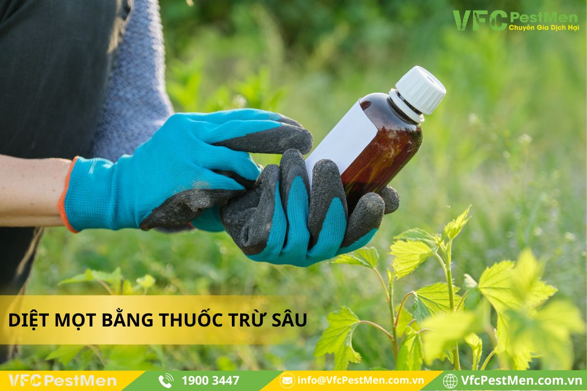 Kiểm soát sinh học và thuốc trừ sâu