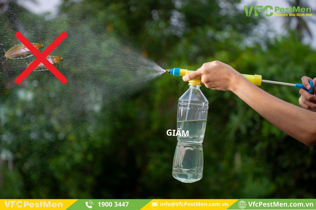 sử dụng giấm