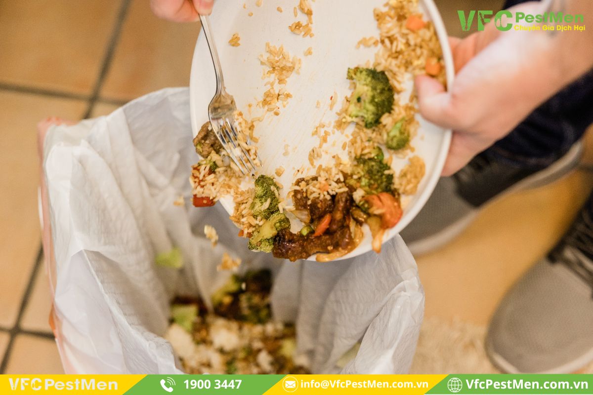 Hạn chế để thức ăn thừa