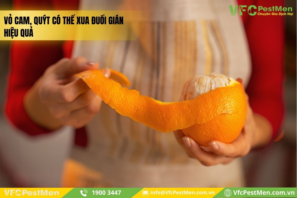 Sử dụng cam, quýt