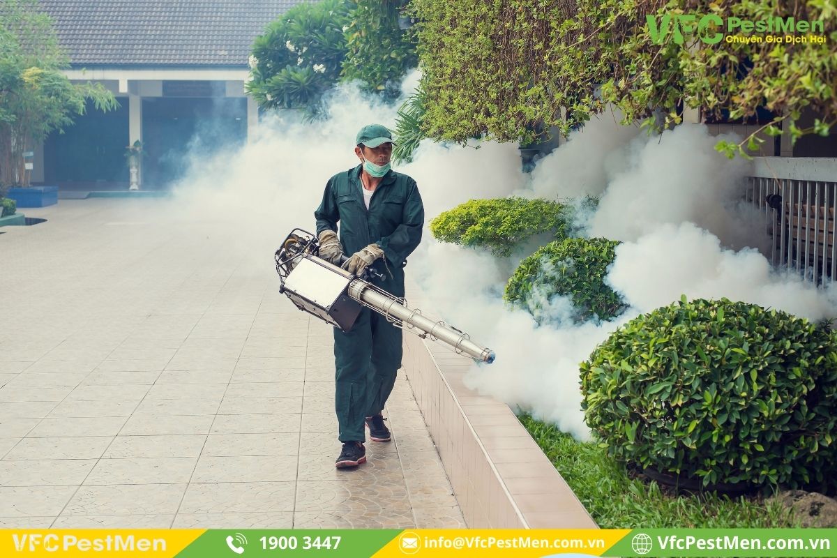 Phương pháp phòng ngừa sốt xuất huyết Dengue